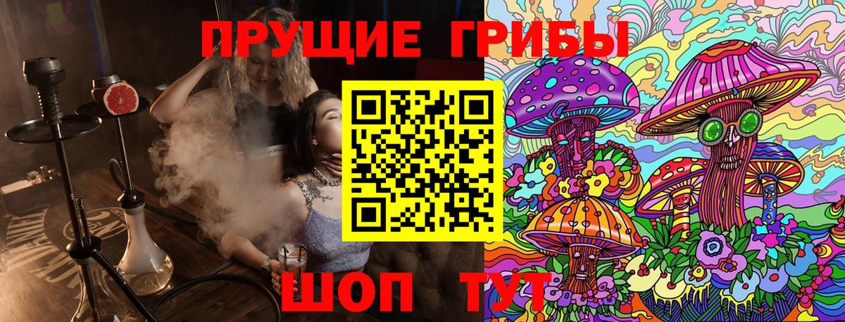 Галлюциногенные грибы GOLDEN TEACHER Донецк