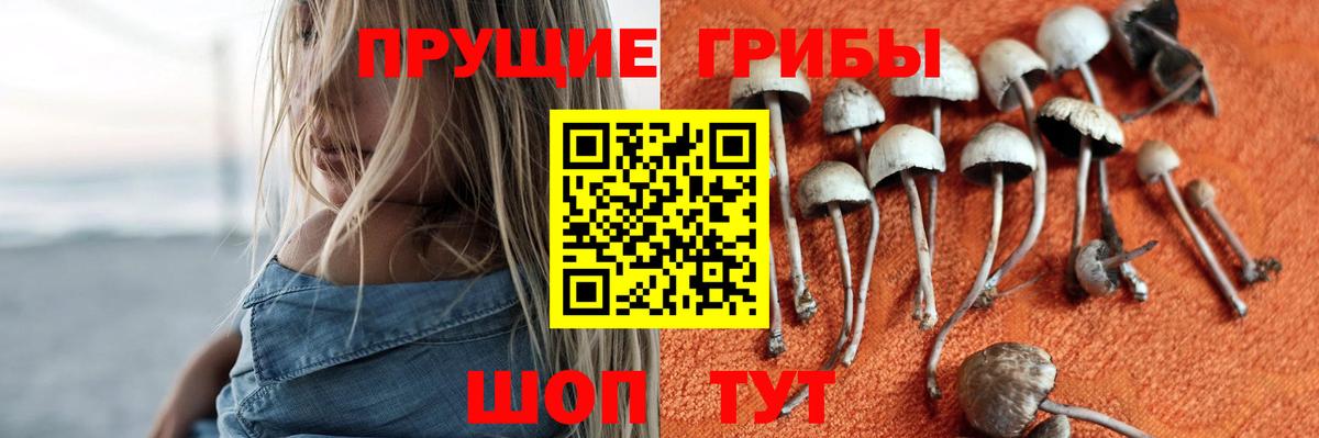 Галлюциногенные грибы Psilocybe  Вход с VPN  Донецк 